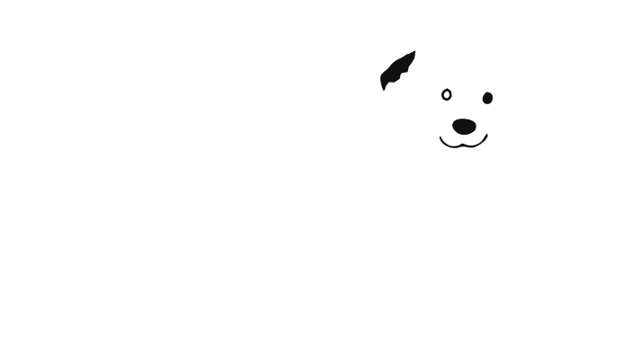 Dicas da Kiara